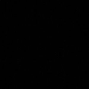 Meet your Posher, Ross